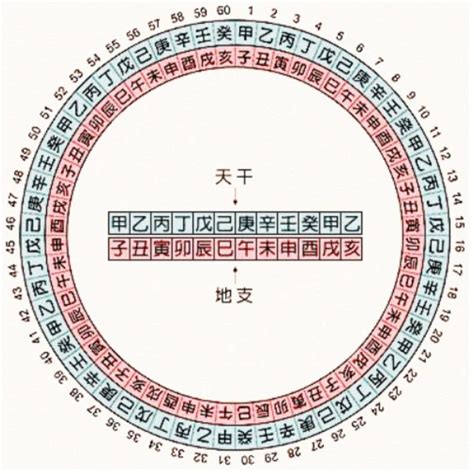 1995年天干地支|天干地支对照表